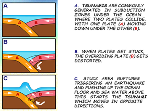 how tsunamis are generated